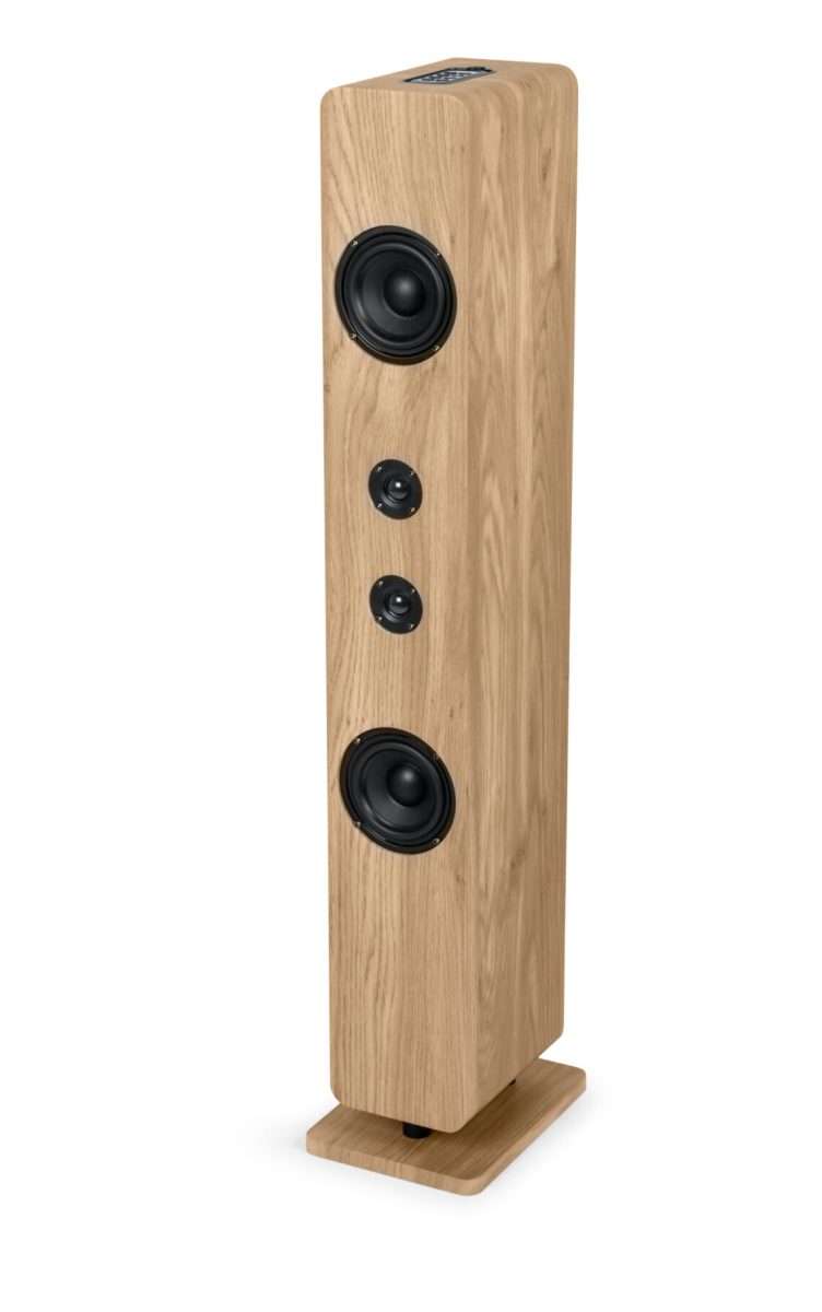 ALTOPARLANTE A TORRE BLUETOOTH IN LEGNO 120 WATT DS702 THOMSON 3 ALTOPARLANTE A TORRE BLUETOOTH IN LEGNO 120 WATT DS702 THOMSON - immagine 3