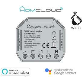 Modulo Pulsante&Interruttore 1CH Wi-Fi da incasso